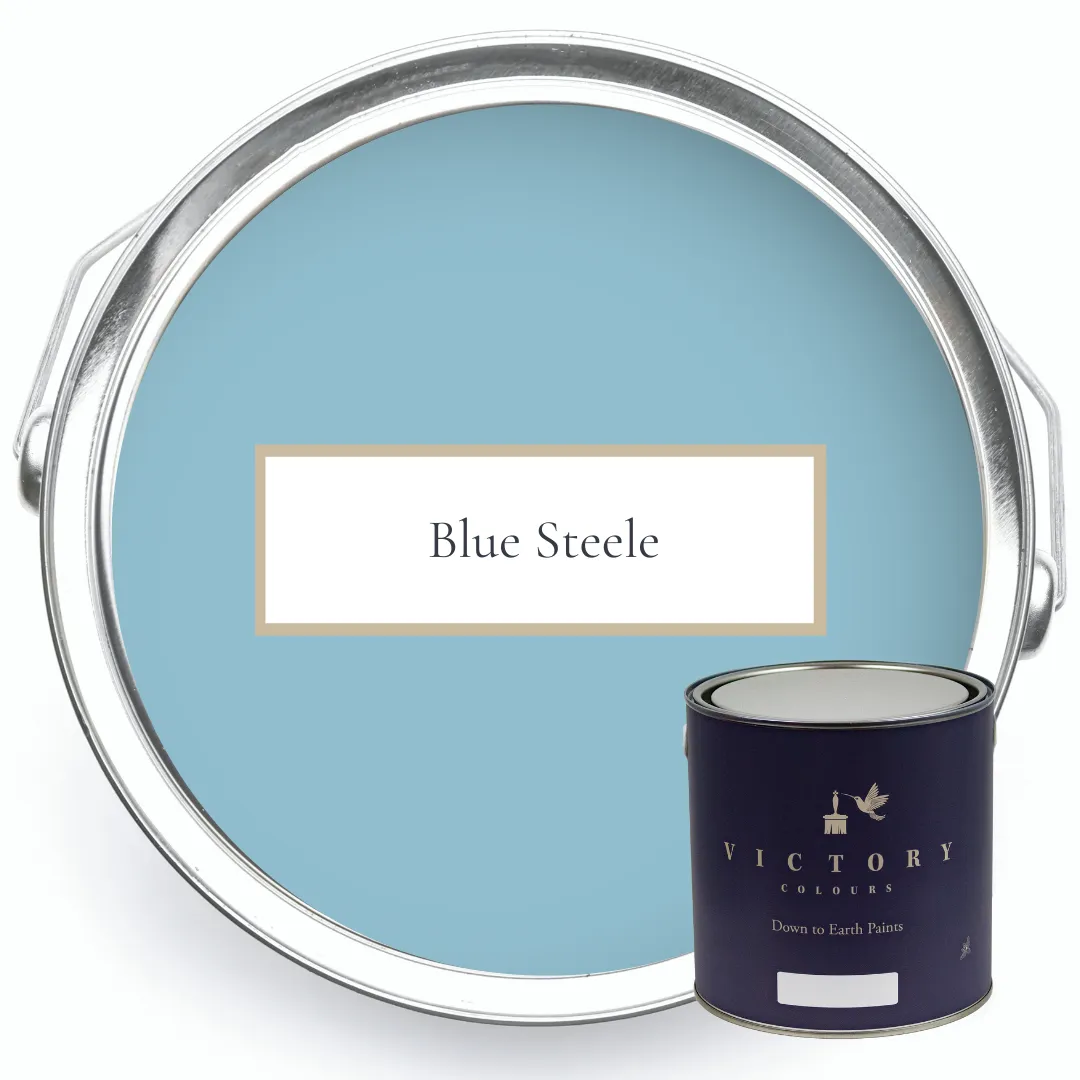 Blue Steele | Olenka Design