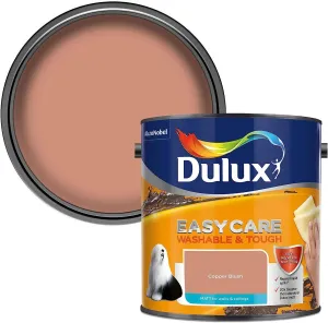 Dulux Easycare 2.5L Matt Emulsion - Copper Blush