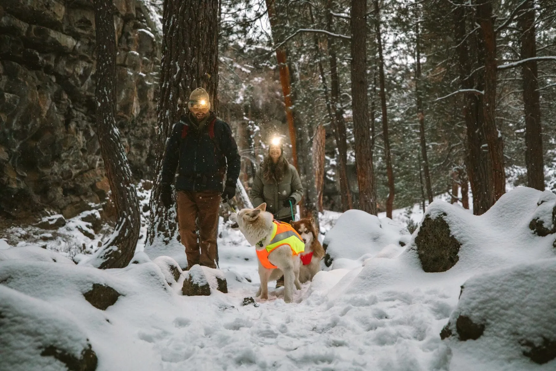 LUMENGLOW HI-VIS DOG JACKET